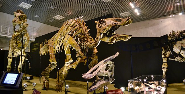 大恐竜展 - ゴビ砂漠の驚異 感想 ブログ | 国立科学博物館 | 子供と