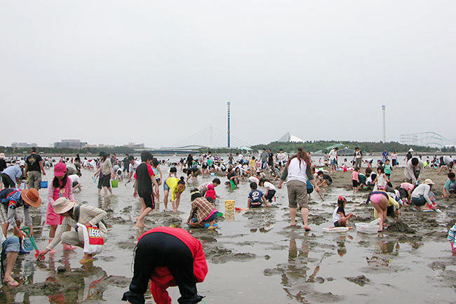 自然のアサリで潮干狩りを楽しめる横浜唯一の潮干狩場「横浜 海の公園」の写真