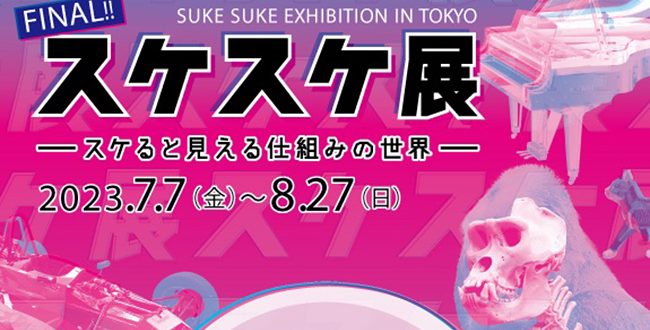 スケスケ展 in TOKYO2 | 展覧会 | 東京ドーム | お出かけ・遊び場