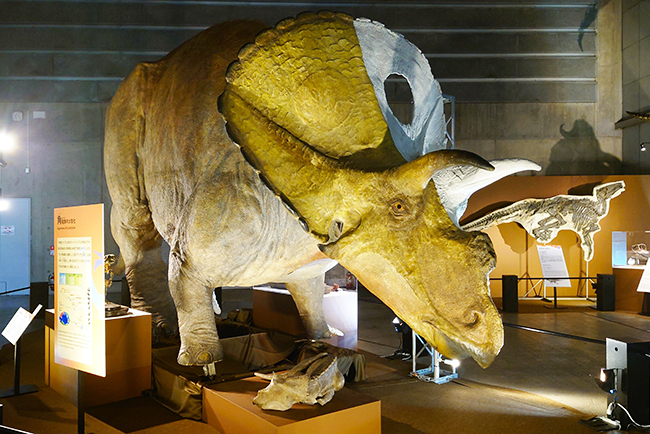 「巨大恐竜展2024」体験レポートの画像