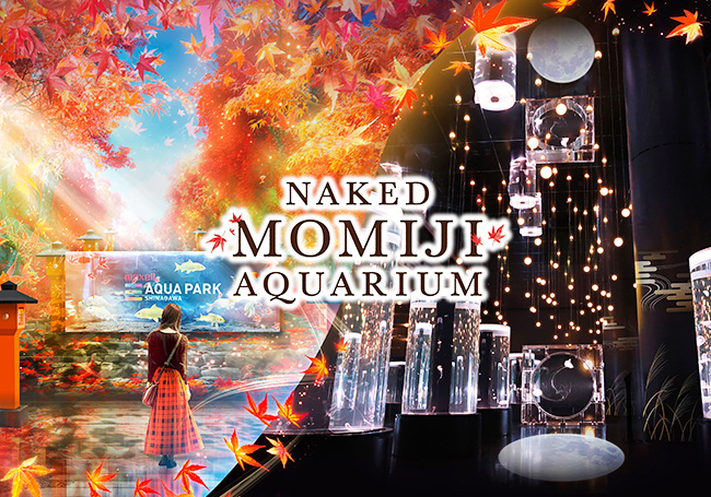 NAKED MOMIJI AQUARIUM（ネイキッド モミジアクアリウム）の画像