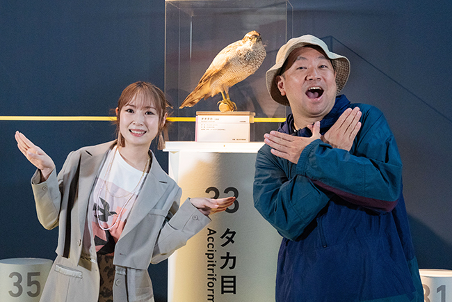 特別展「鳥 ～ゲノム解析が解き明かす新しい鳥類の系統～」レポートの写真