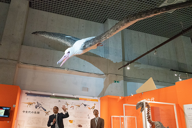 特別展「鳥 ～ゲノム解析が解き明かす新しい鳥類の系統～」レポートの写真