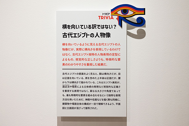 「ブルックリン博物館所蔵 特別展 古代エジプト」のレポート写真