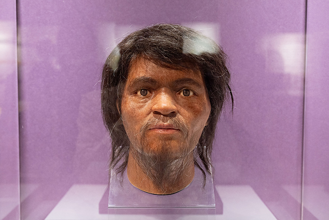 特別展「古代ＤＮＡ―日本人のきた道―」体験レポートの写真