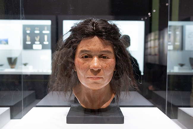 特別展「古代ＤＮＡ―日本人のきた道―」体験レポートの写真