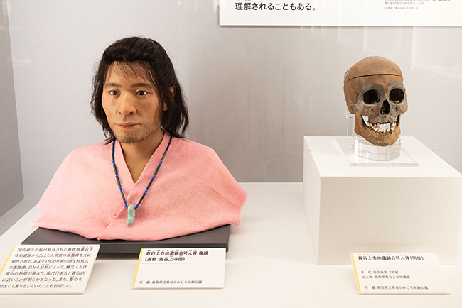 特別展「古代ＤＮＡ―日本人のきた道―」体験レポートの写真