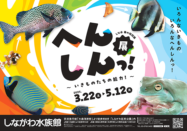 へんしんっ！展 〜いきものたちの能力！〜（しながわ水族館）の画像