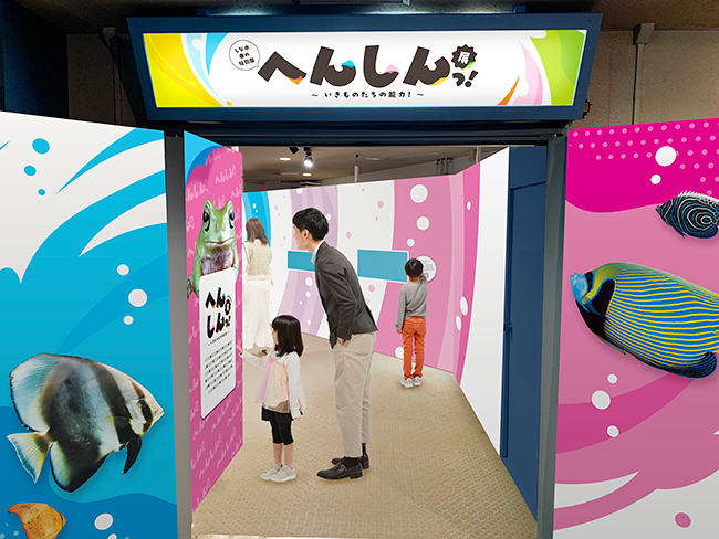 へんしんっ！展 〜いきものたちの能力！〜（しながわ水族館）の画像