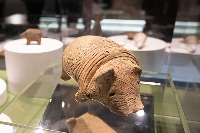特別展「古代ＤＮＡ―日本人のきた道―」体験レポートの写真