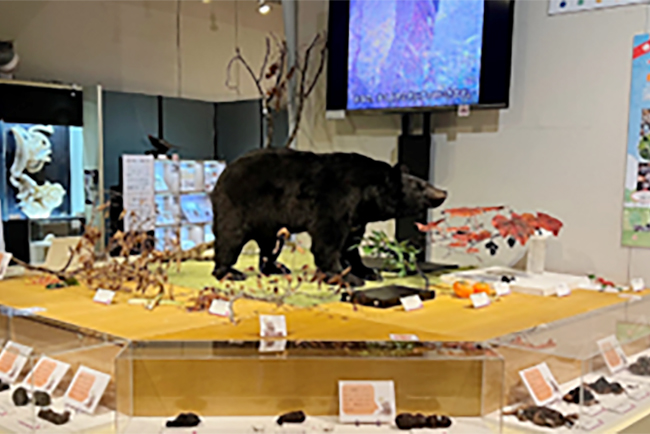 展覧会「うんち展　-No UNCHI, No LIFE-」の画像